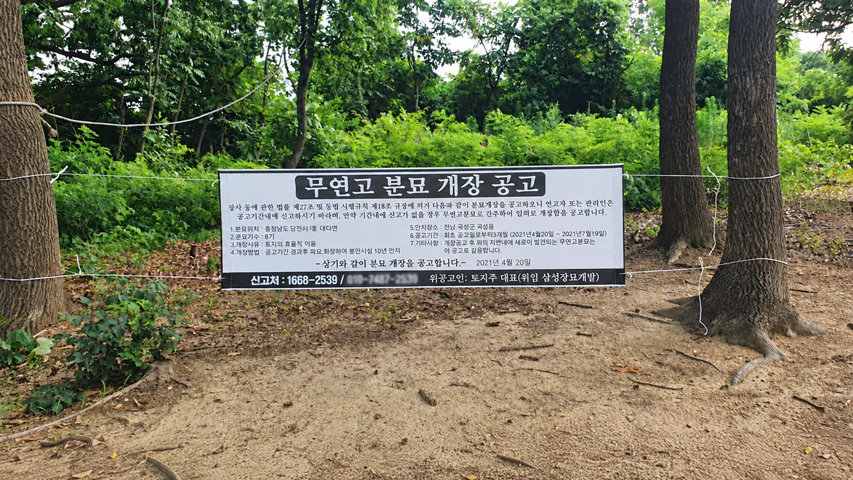 무연고 공고