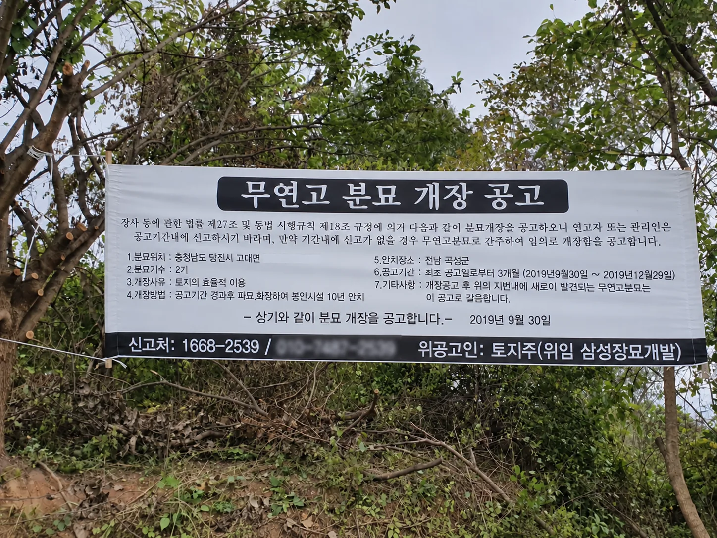 무연고 공고